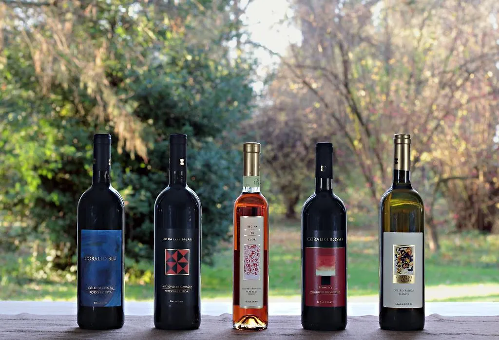 Agriturismo Gallegati Faenza Italien